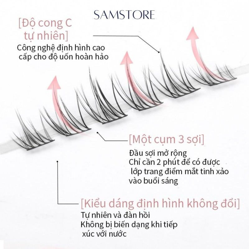 vn-11134207-7r98o-lqvxsqx7f7vd6c