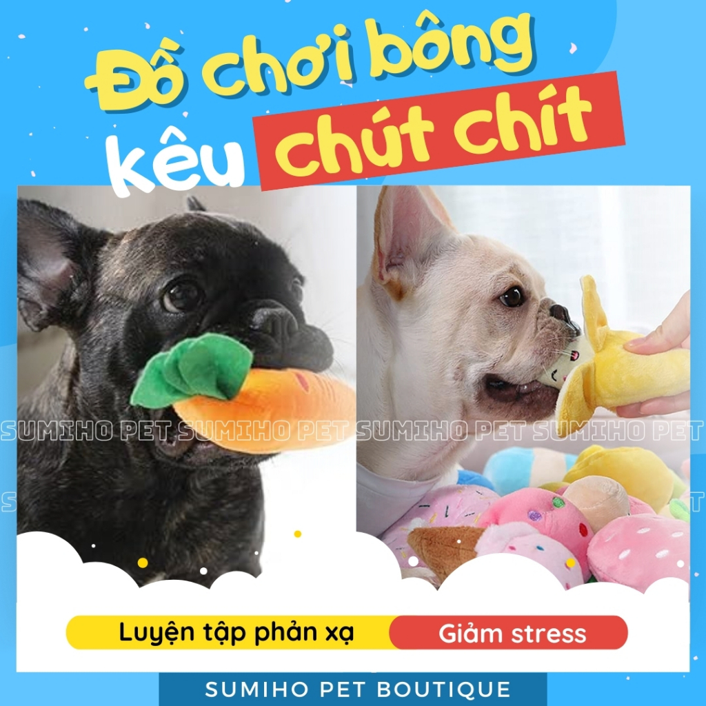 vn-11134207-7r98o-lwpb4ff7jr2x48