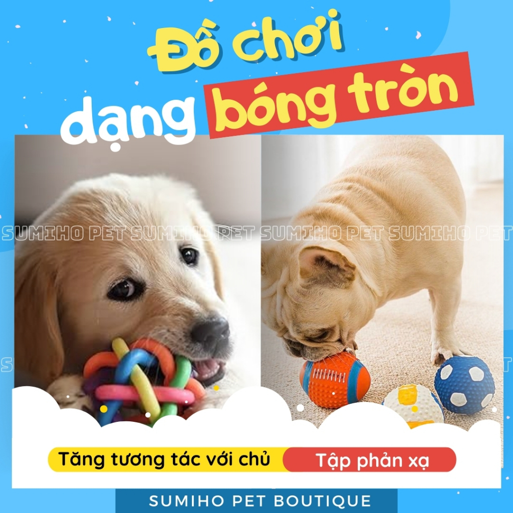 vn-11134207-7r98o-lwpb4ff74amz4b