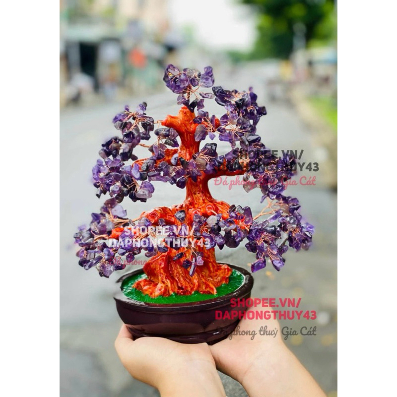 vn-11134207-7r98o-m0agk2z16sbxa6