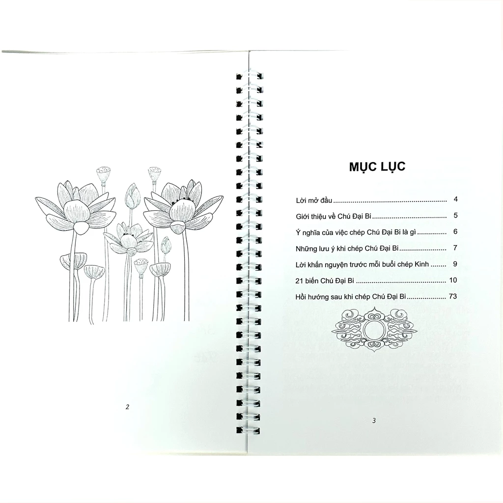 vn-11134207-7r98o-lo6i7uuwuygnfb