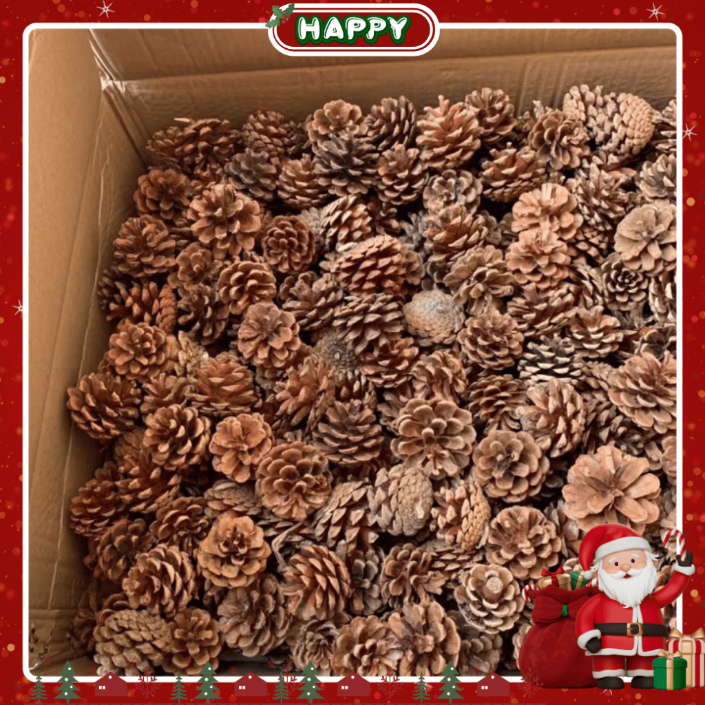 vn-11134207-820l4-mg51q1zo1amg7f