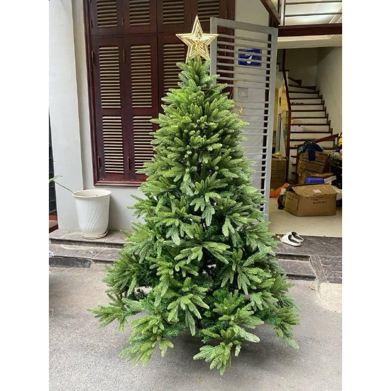 vn-11134207-7ras8-m1pjbuxm8zwf99