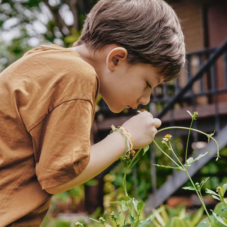 vn-11134207-7ras8-m13o0x9ijgrje3