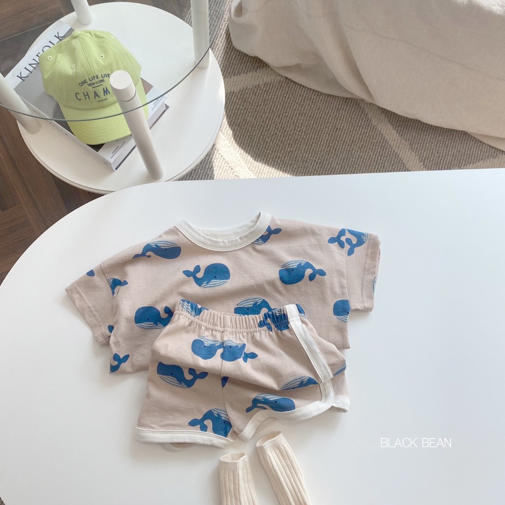 vn-11134207-7r98o-lu05rrhhxp9bda