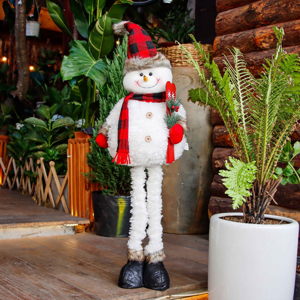 vn-11134207-7ras8-m1o2byxqx74jf5