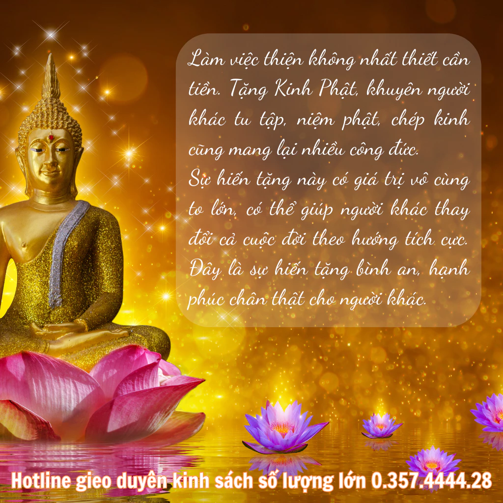 vn-11134207-7r98o-ls260ea7haxl9a