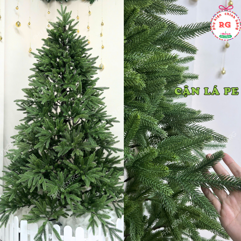 vn-11134207-820l4-mgvzuysamolrcf